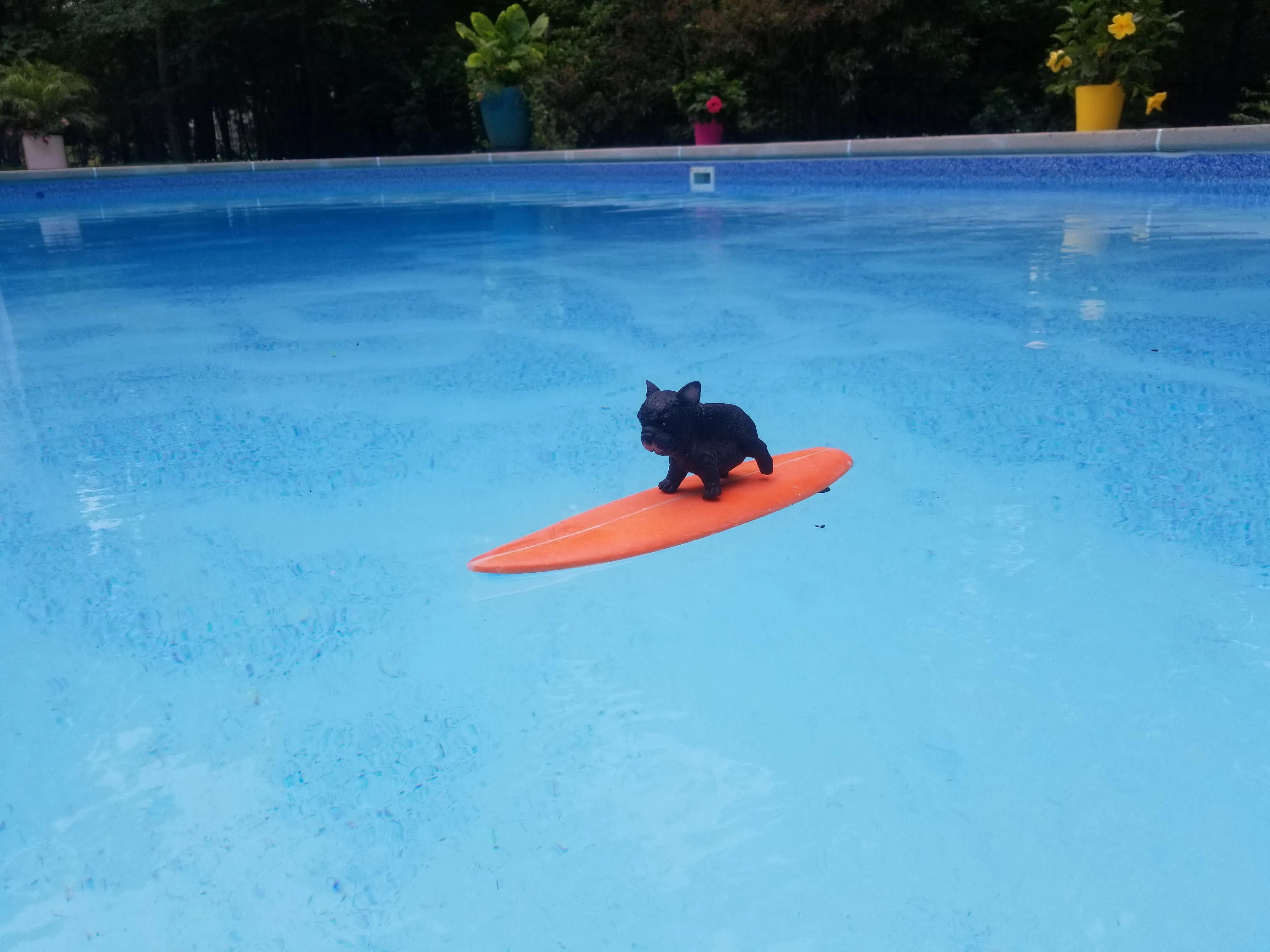 Mini Surfboard Hobby Kit